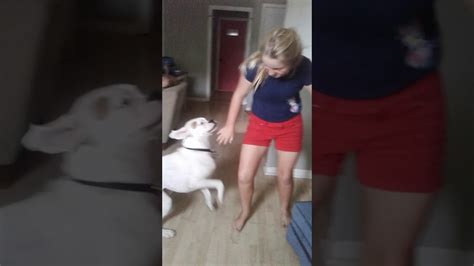 dog fucked girl|Girls getting fucked by dogs .